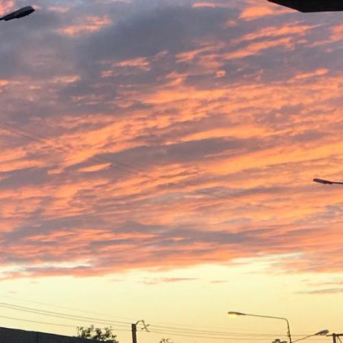 สมาชิกหมายเลข 5318830