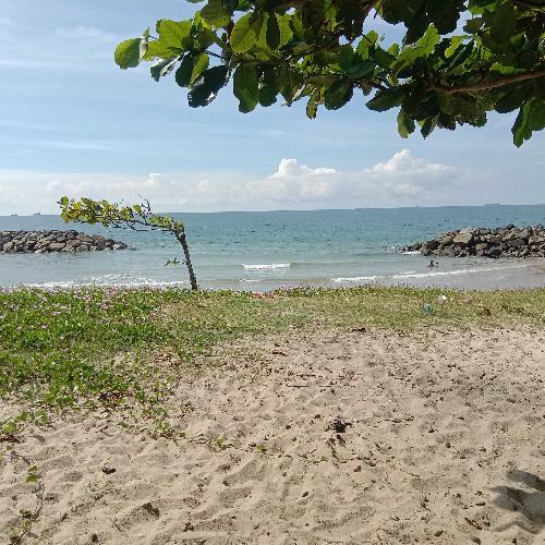 สมาชิกหมายเลข 5660112