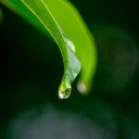 สมาชิกหมายเลข 4113496