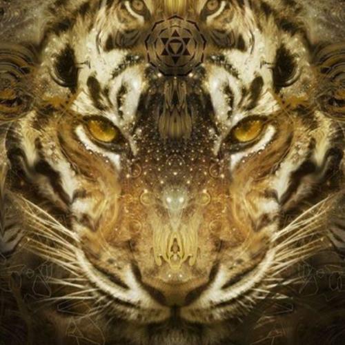 สมาชิกหมายเลข 1653409