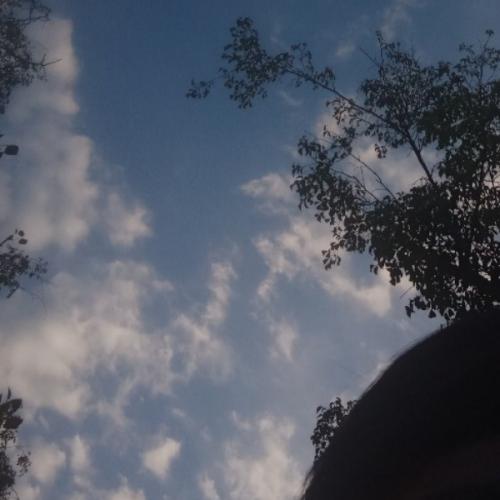 สมาชิกหมายเลข 4353551