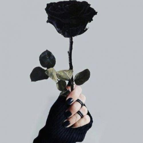 สมาชิกหมายเลข 5348755