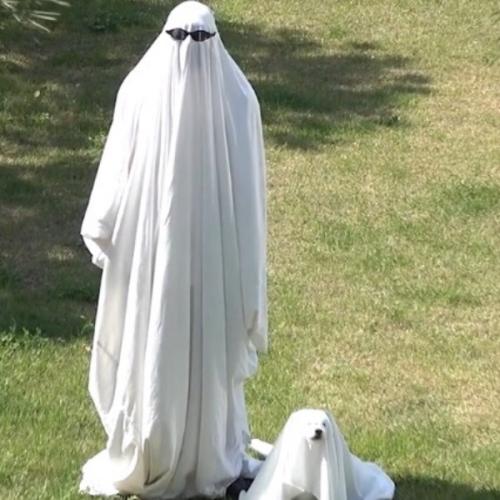 สมาชิกหมายเลข 6191539