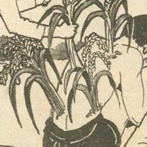 สมาชิกหมายเลข 7628161