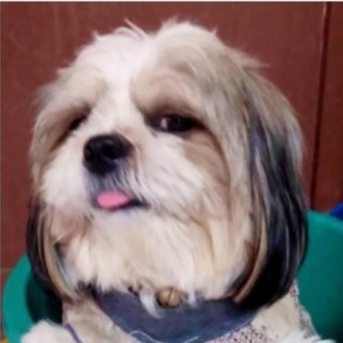 สมาชิกหมายเลข 8233499