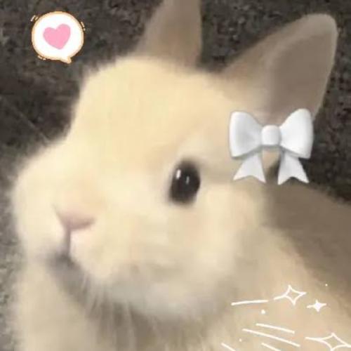 สมาชิกหมายเลข 8237752