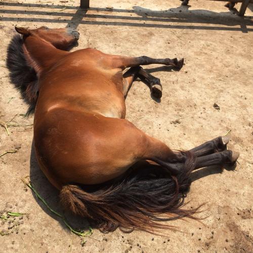 สมาชิกหมายเลข 1395281