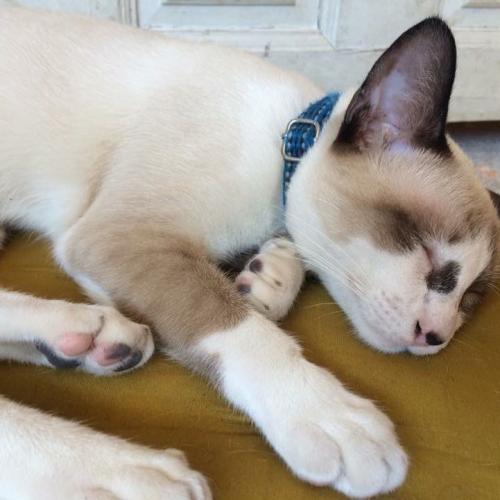 สมาชิกหมายเลข 1473059