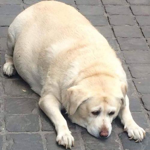 สมาชิกหมายเลข 3421683