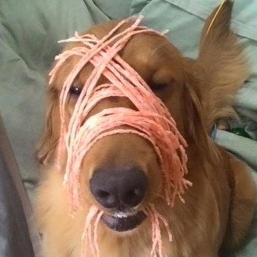 น้อยโหน่งตัวน้อย