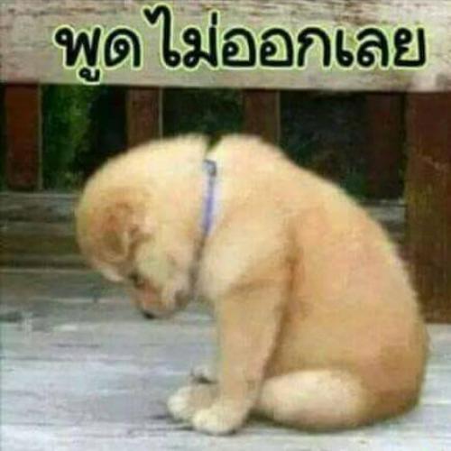 สมาชิกหมายเลข 5643237