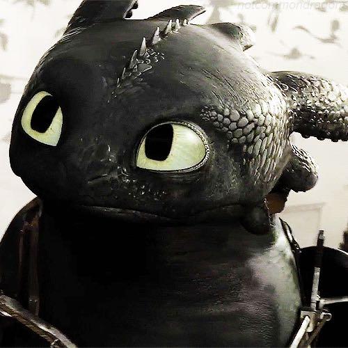 สมาชิกหมายเลข 5643542