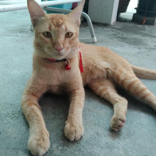 สมาชิกหมายเลข 6769562