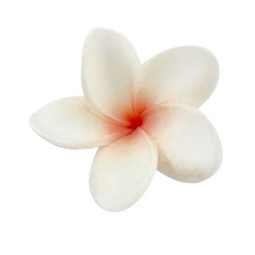 สมาชิกหมายเลข 7348155