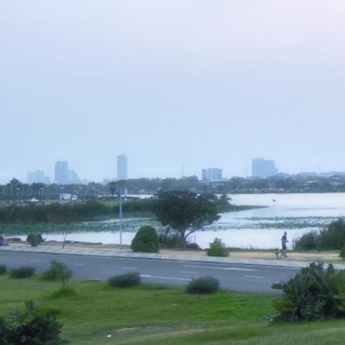 สมาชิกหมายเลข 8446534