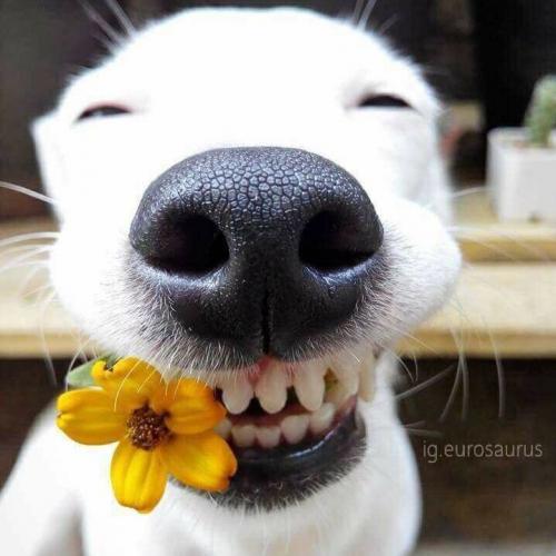 สมาชิกหมายเลข 2857312