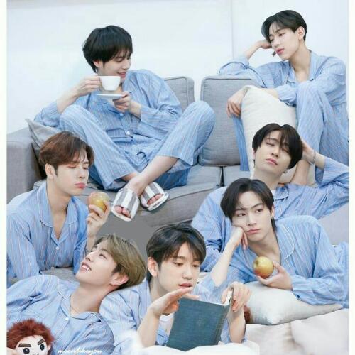 สมาชิกหมายเลข 5221636