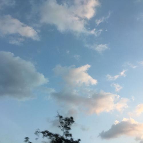 สมาชิกหมายเลข 5644198