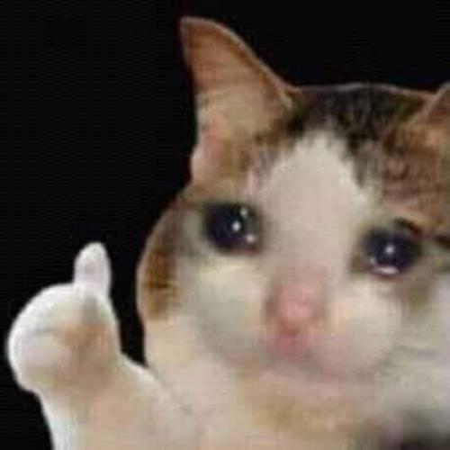 สมาชิกหมายเลข 5644203