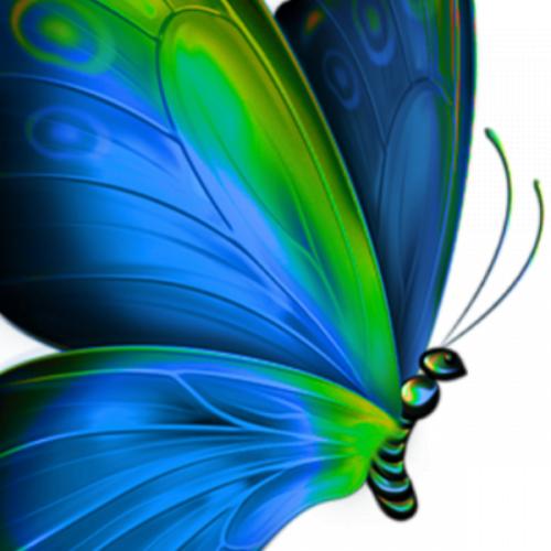 สมาชิกหมายเลข 3260211