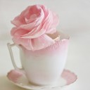 สมาชิกหมายเลข 1671691