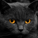 สมาชิกหมายเลข 1247674