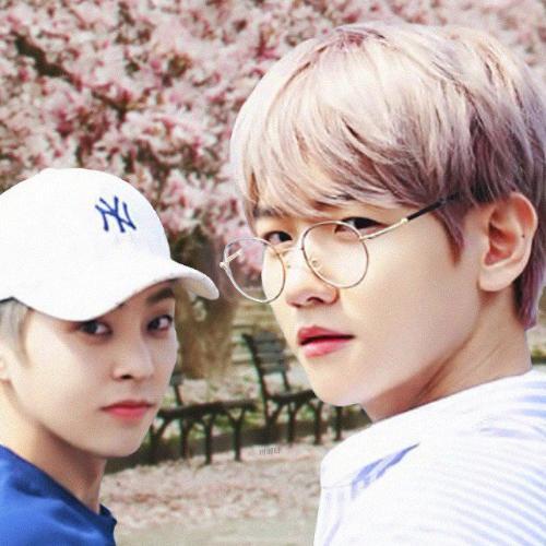 สมาชิกหมายเลข 4502515