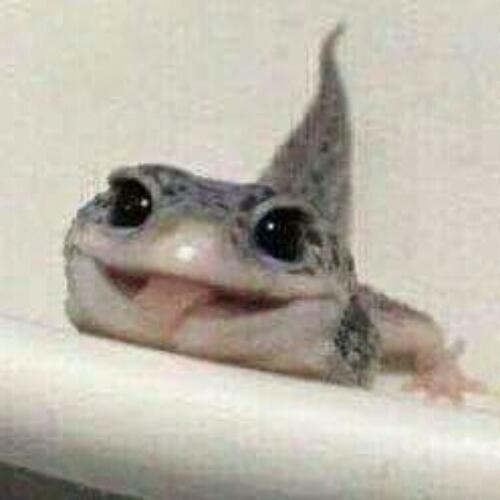 สมาชิกหมายเลข 4079184