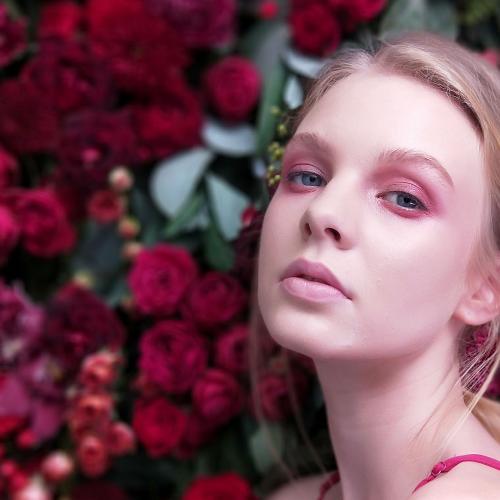 สมาชิกหมายเลข 4503211