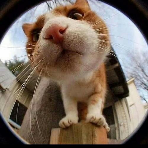 สมาชิกหมายเลข 5222168