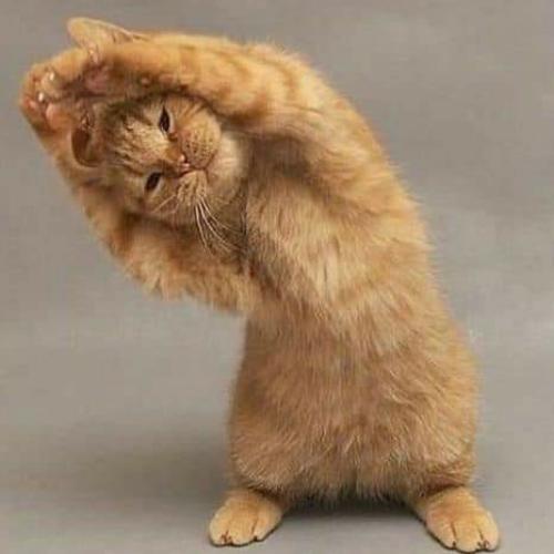 สมาชิกหมายเลข 5222224