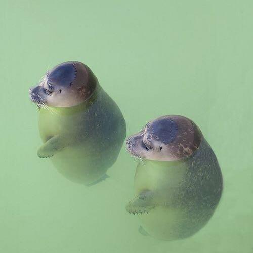 สมาชิกหมายเลข 5640356