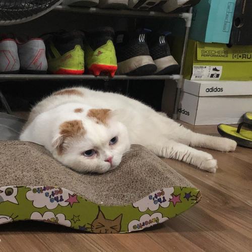 สมาชิกหมายเลข 4570765