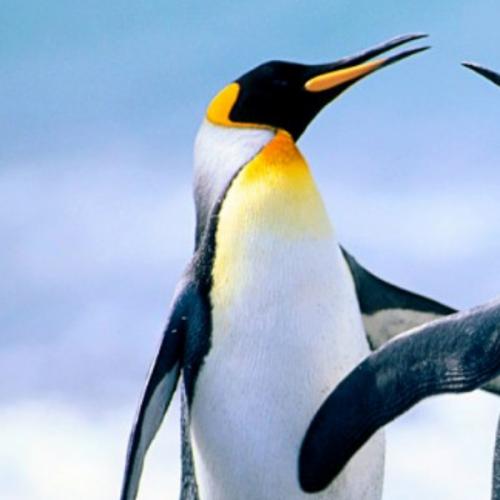 สมาชิกหมายเลข 5578922