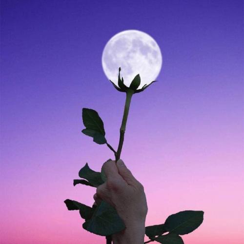 สมาชิกหมายเลข 5855096