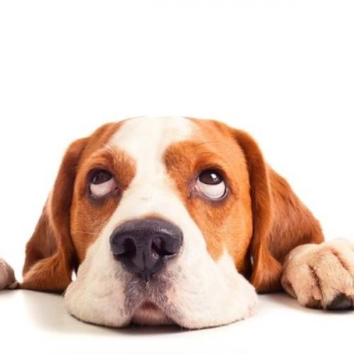 สมาชิกหมายเลข 7629761