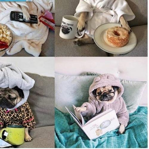 สมาชิกหมายเลข 4836216