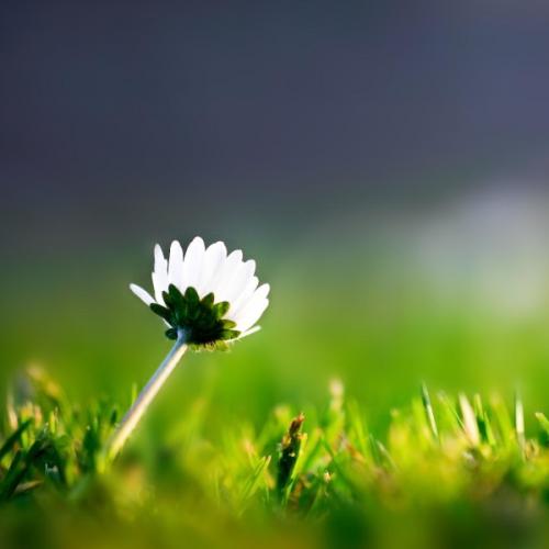 สมาชิกหมายเลข 5567283