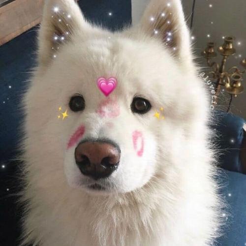 สมาชิกหมายเลข 5645103