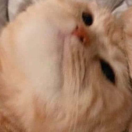 สมาชิกหมายเลข 6216112