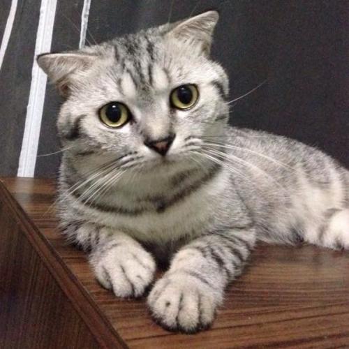 สมาชิกหมายเลข 2492435