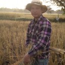 สมาชิกหมายเลข 4047304