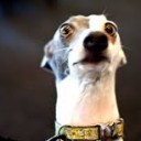 สมาชิกหมายเลข 4047849