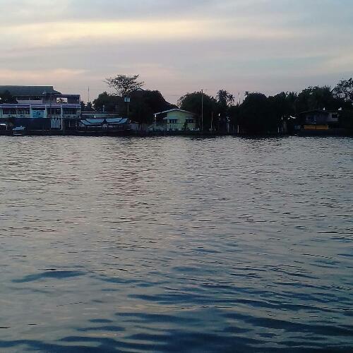 สมาชิกหมายเลข 4501419