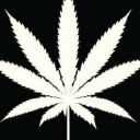 สมาชิกหมายเลข 4503206