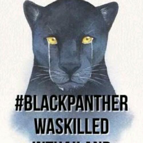 สมาชิกหมายเลข 4794856