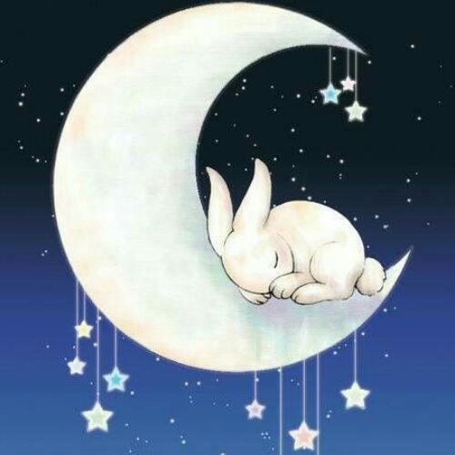 สมาชิกหมายเลข 4836641