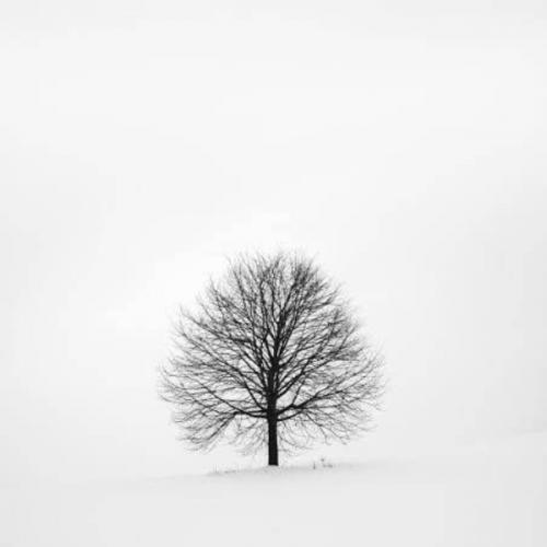 สมาชิกหมายเลข 5645842