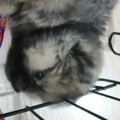 สมาชิกหมายเลข 5011890