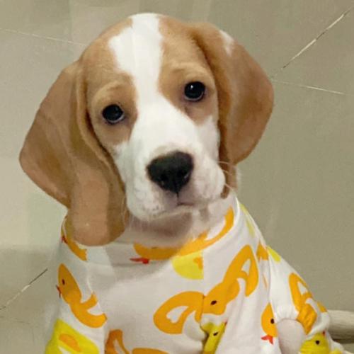 สมาชิกหมายเลข 6216655